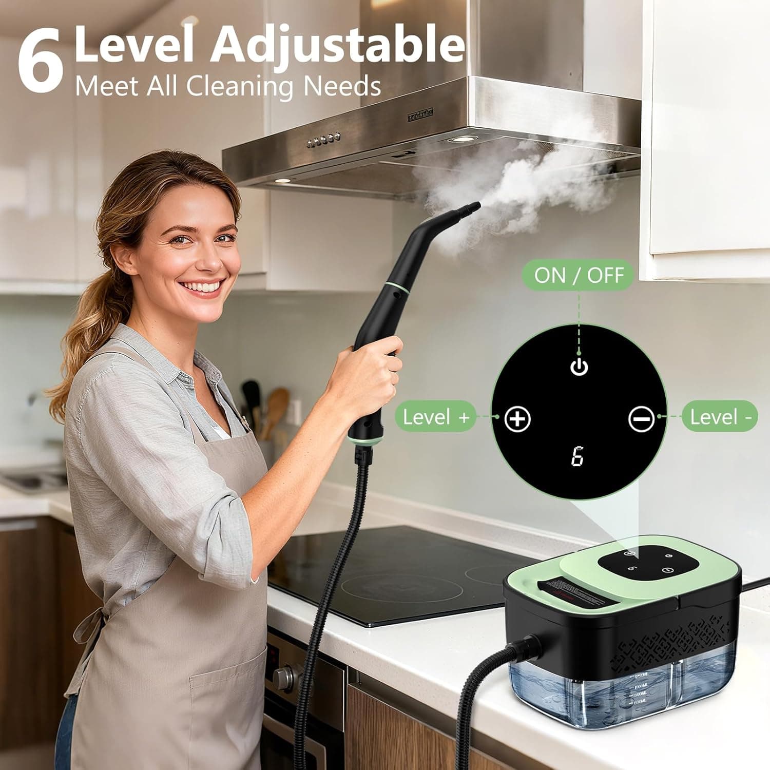 Portable steam cleaner water tank and controls